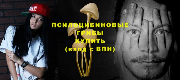 спиды Алексин