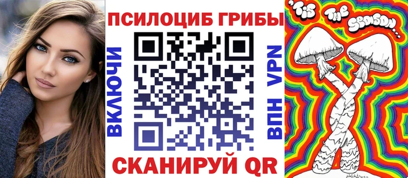сколько стоит  MEGA рабочий сайт  Галлюциногенные грибы Cubensis  Зуевка 